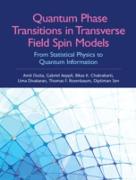 Quantum Phase Transitions in Transverse Field Spin Models