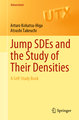 Jump SDEs and the Study of Their Densities