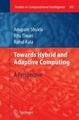 Towards Hybrid and Adaptive Computing