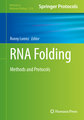 RNA Folding