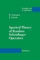 Spectral Theory of Random Schrödinger Operators