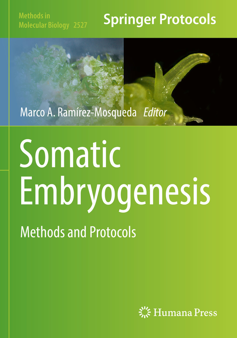 Somatic Embryogenesis