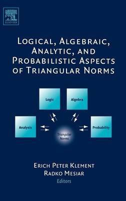 Logical, Algebraic, Analytic and Probabilistic Aspects of Triangular Norms