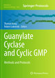 Guanylate Cyclase and Cyclic GMP