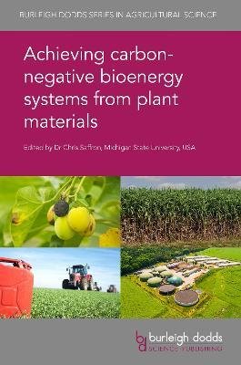 Achieving Carbon-Negative Bioenergy Systems from Plant Materials