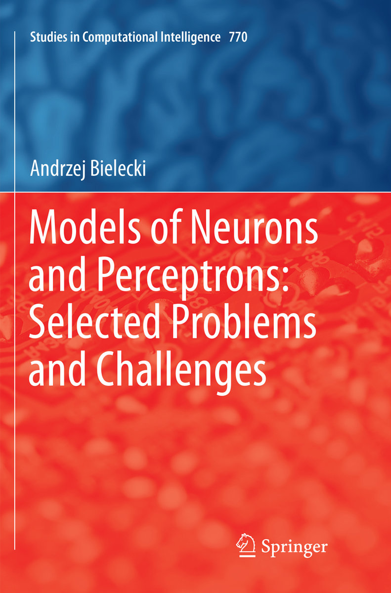 Models of Neurons and Perceptrons: Selected Problems and Challenges