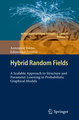 Hybrid Random Fields