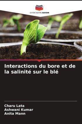 Interactions du bore et de la salinité sur le blé