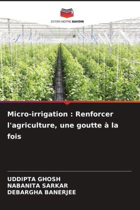 Micro-irrigation : Renforcer l'agriculture, une goutte à la fois