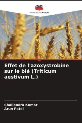 Effet de l'azoxystrobine sur le blé (Triticum aestivum L.)